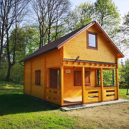 Janowickie Zacisze Villa Janowice Wielkie Luaran gambar