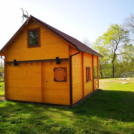 Janowickie Zacisze Villa Janowice Wielkie Luaran gambar